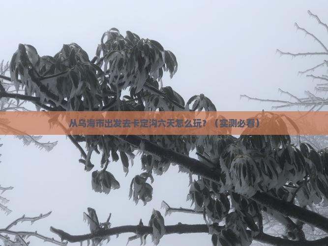 乌海市去西藏卡定沟六日游