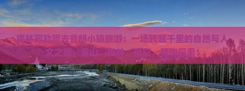 锡林郭勒盟去西藏鲁朗小镇旅游