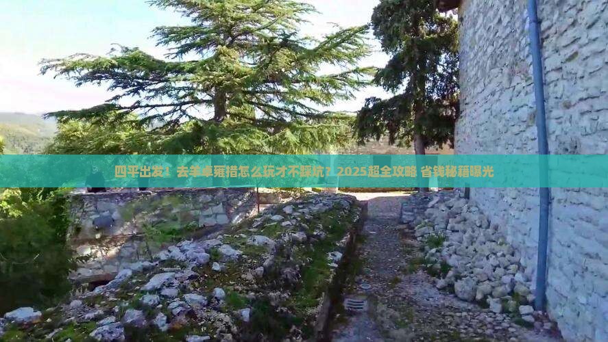 四平到西藏羊卓雍措大型旅游团