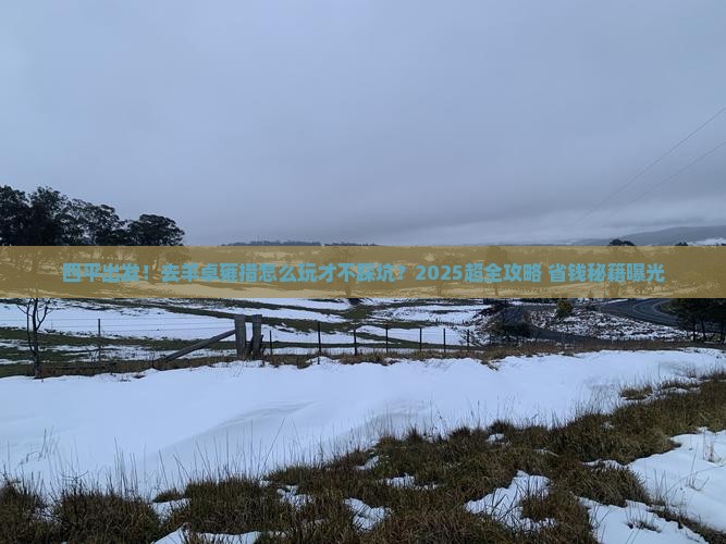四平到西藏羊卓雍措大型旅游团
