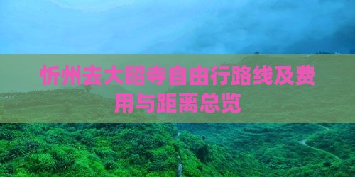 忻州去大昭寺自由行路线及费用与距离总览