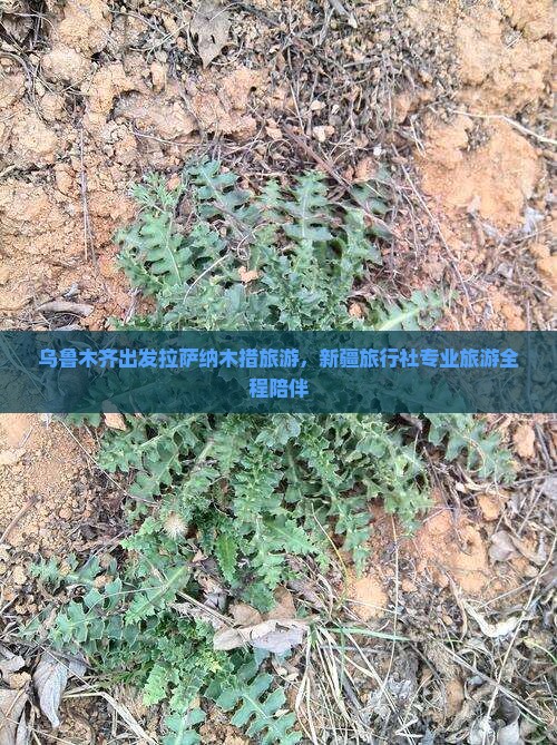 乌鲁木齐出发拉萨纳木措旅游，新疆旅行社专业旅游全程陪伴