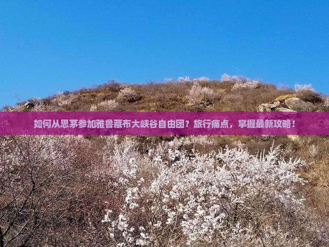 如何从思茅参加雅鲁藏布大峡谷自由团？旅行痛点，掌握最新攻略！