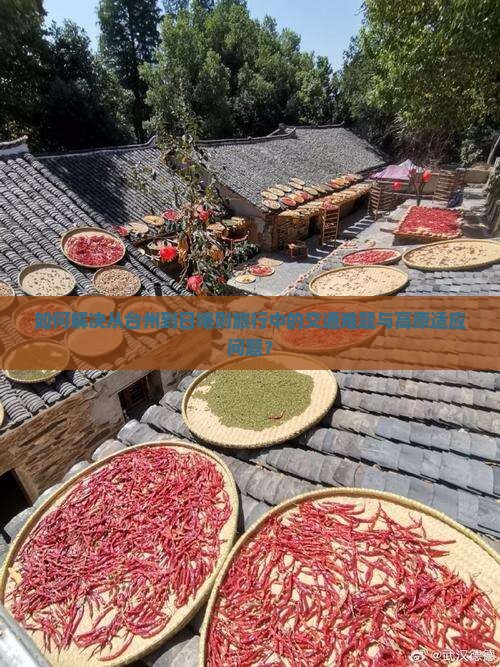 如何解决从台州到日喀则旅行中的交通难题与高原适应问题？