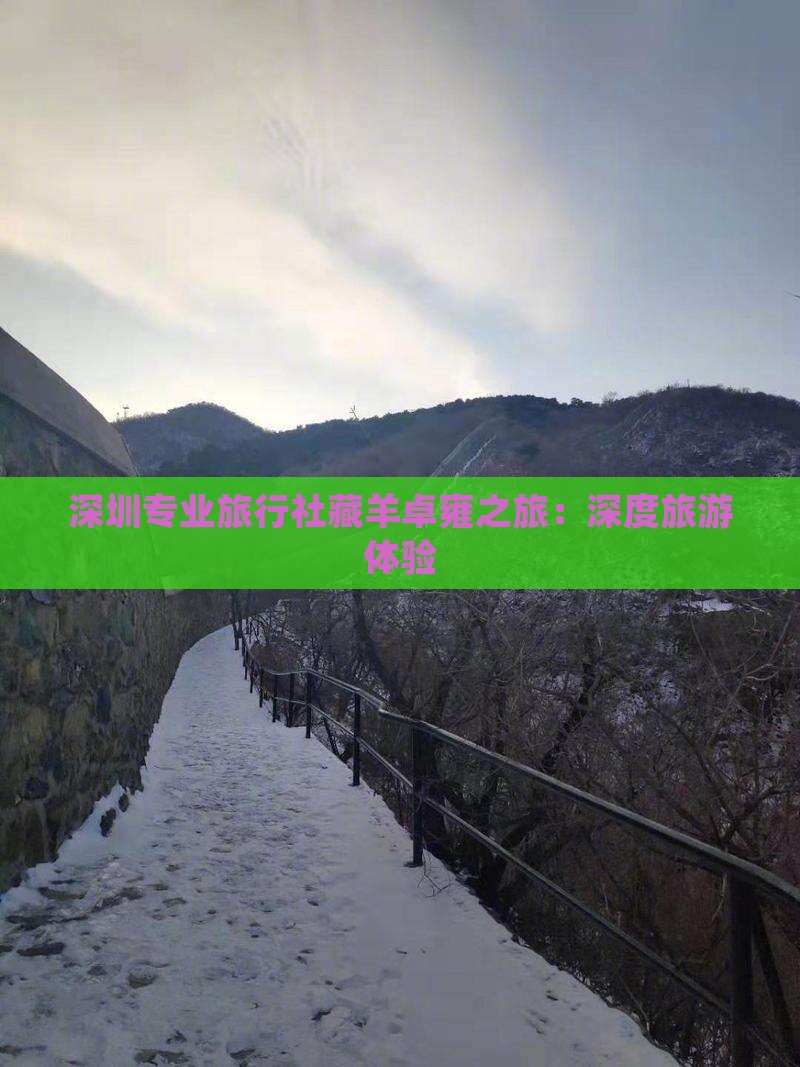 深圳专业旅行社藏羊卓雍之旅：深度旅游体验