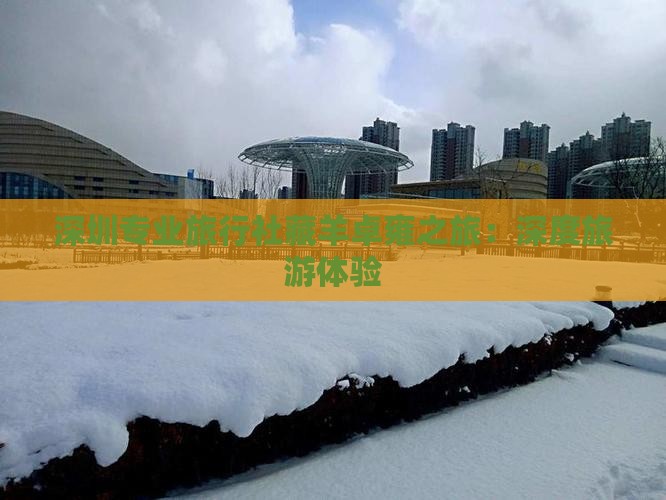 深圳专业旅行社藏羊卓雍之旅：深度旅游体验