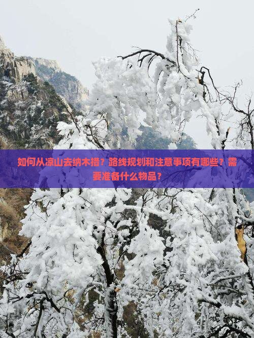 如何从凉山去纳木措？路线规划和注意事项有哪些？需要准备什么物品？