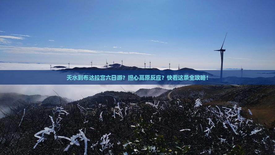 天水到布达拉宫六日游？担心高原反应？快看这条全攻略！