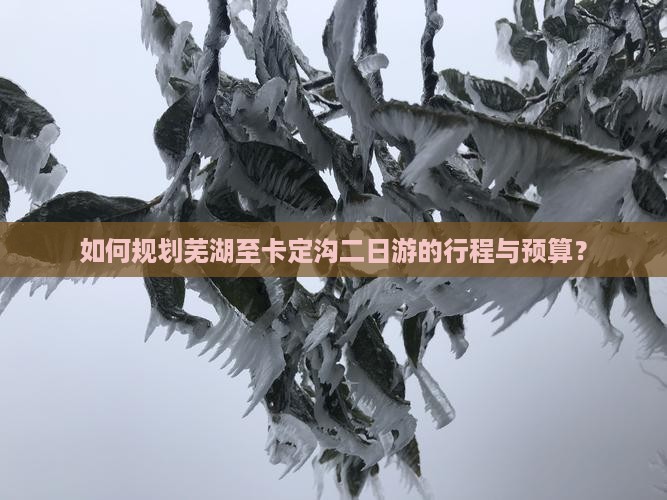 如何规划芜湖至卡定沟二日游的行程与预算？