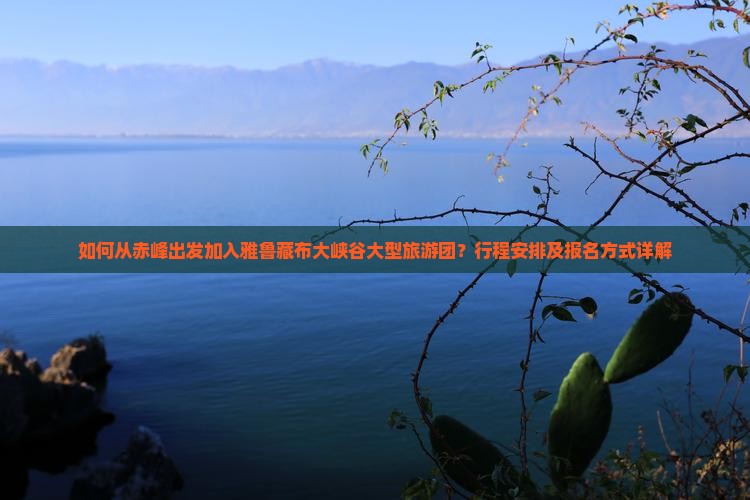 如何从赤峰出发加入雅鲁藏布大峡谷大型旅游团？行程安排及报名方式详解