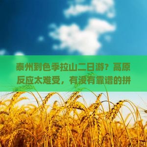 泰州到色季拉山二日游？高原反应太难受，有没有靠谱的拼车包车服务？
