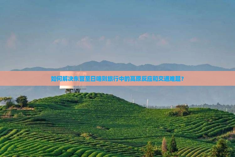 如何解决东营至日喀则旅行中的高原反应和交通难题？