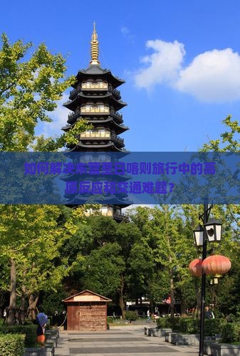 如何解决东营至日喀则旅行中的高原反应和交通难题？