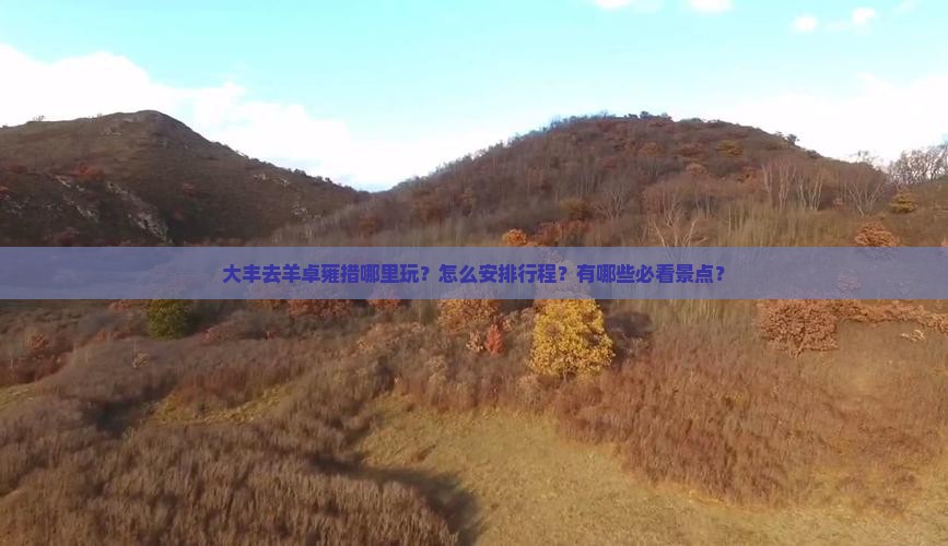 大丰去羊卓雍措哪里玩？怎么安排行程？有哪些必看景点？