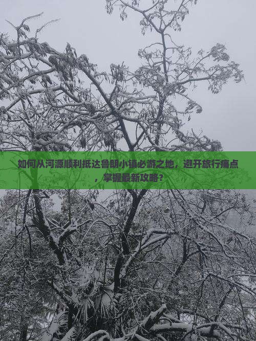 如何从河源顺利抵达鲁朗小镇必游之地，避开旅行痛点，掌握最新攻略？