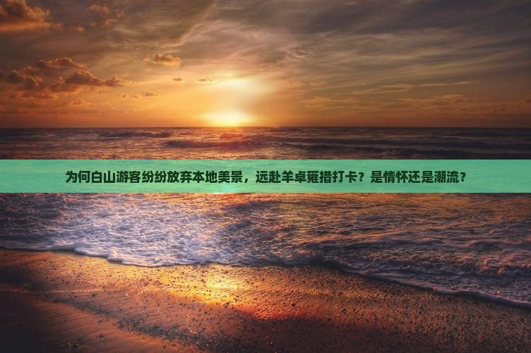 为何白山游客纷纷放弃本地美景，远赴羊卓雍措打卡？是情怀还是潮流？