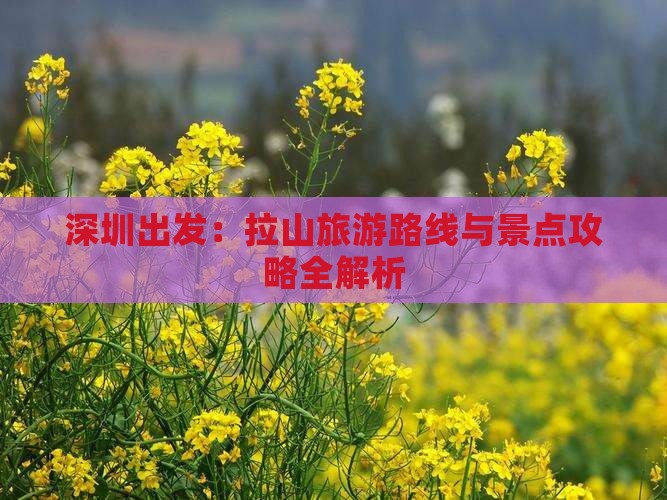 深圳出发：拉山旅游路线与景点攻略全解析