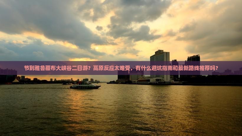 节到雅鲁藏布大峡谷二日游？高原反应太难受，有什么避坑指南和最新路线推荐吗？