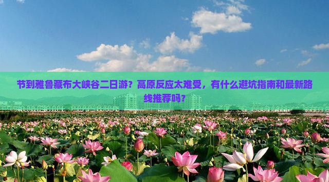 节到雅鲁藏布大峡谷二日游？高原反应太难受，有什么避坑指南和最新路线推荐吗？
