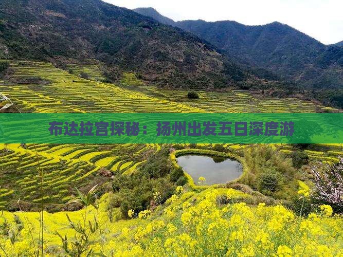 布达拉宫探秘：扬州出发五日深度游
