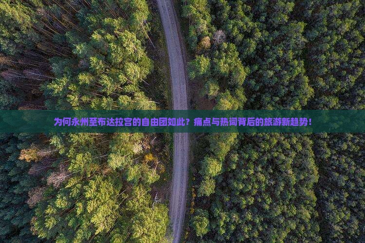 为何永州至布达拉宫的自由团如此？痛点与热词背后的旅游新趋势！