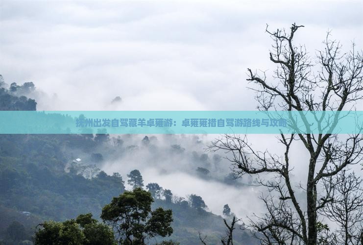 抚州出发自驾藏羊卓雍游：卓雍雍措自驾游路线与攻略