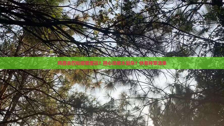 鸡西去巴松措哪里玩？担心攻略太复杂？快看种草清单