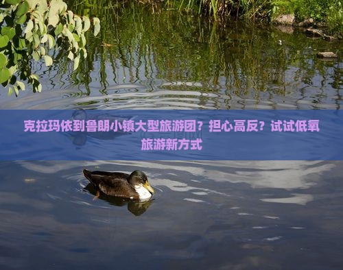 克拉玛依到鲁朗小镇大型旅游团？担心高反？试试低氧旅游新方式