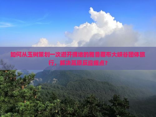 如何从玉树策划一次避开拥堵的雅鲁藏布大峡谷团体旅行，解决高原反应痛点？