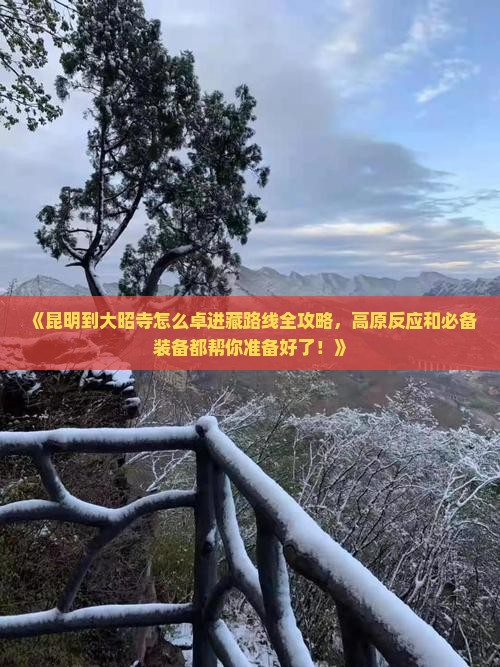《昆明到大昭寺怎么卓进藏路线全攻略，高原反应和必备装备都帮你准备好了！》