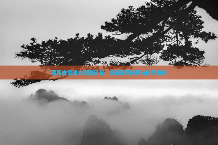 襄阳去鲁朗小镇四日游：探秘高原风情与自然奇观