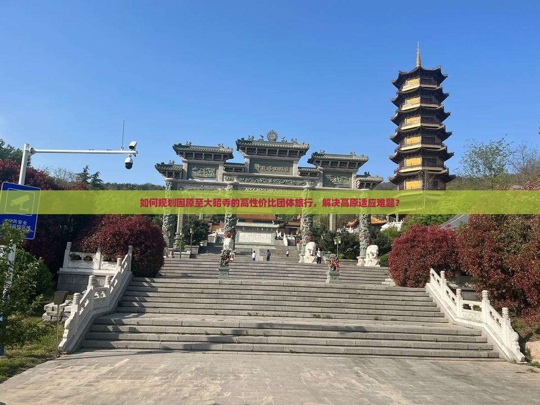 如何规划固原至大昭寺的高性价比团体旅行，解决高原适应难题？