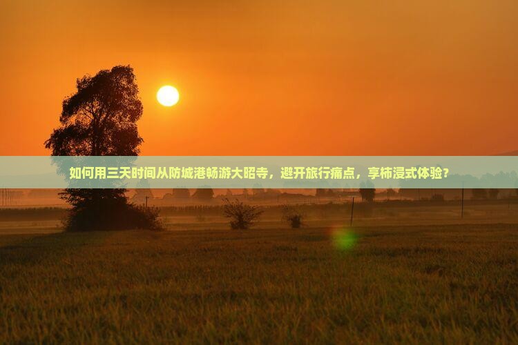 如何用三天时间从防城港畅游大昭寺，避开旅行痛点，享柿浸式体验？