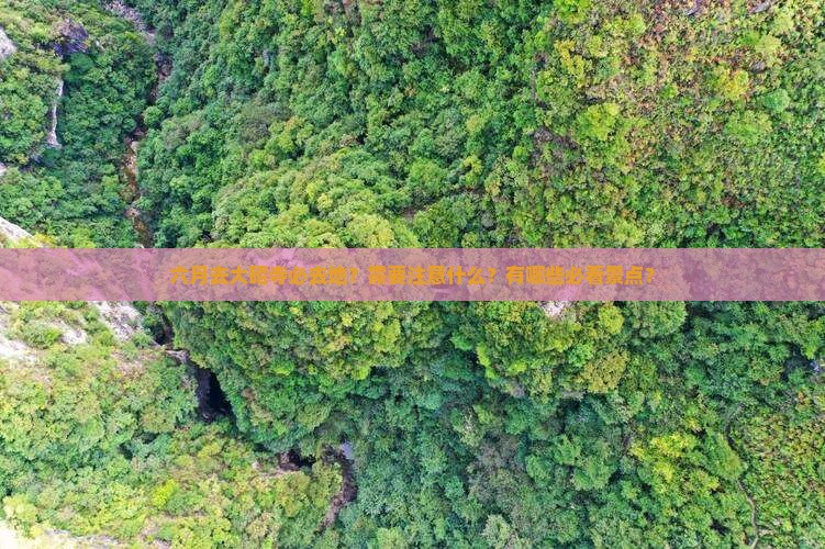 六月去大昭寺必去地？需要注意什么？有哪些必看景点？