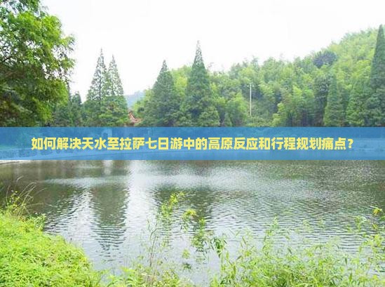 如何解决天水至拉萨七日游中的高原反应和行程规划痛点？