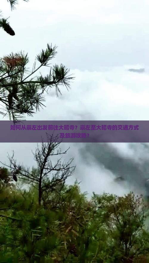 如何从崇左出发前往大昭寺？崇左至大昭寺的交通方式及旅游攻略？