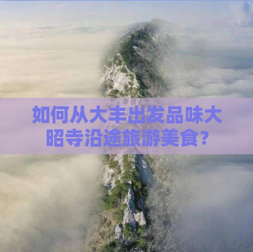 如何从大丰出发品味大昭寺沿途旅游美食？