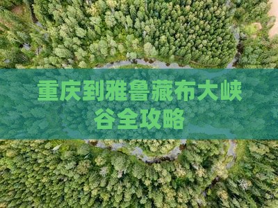 重庆到雅鲁藏布大峡谷全攻略