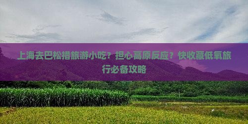 上海去巴松措旅游小吃？担心高原反应？快收藏低氧旅行必备攻略