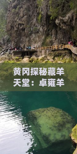 黄冈探秘藏羊天堂：卓雍羊卓雍措四日游攻略