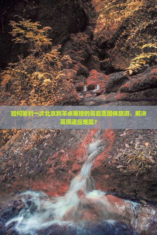 如何策划一次北京到羊卓雍措的高品质团体旅游，解决高原适应难题？