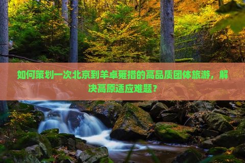 如何策划一次北京到羊卓雍措的高品质团体旅游，解决高原适应难题？