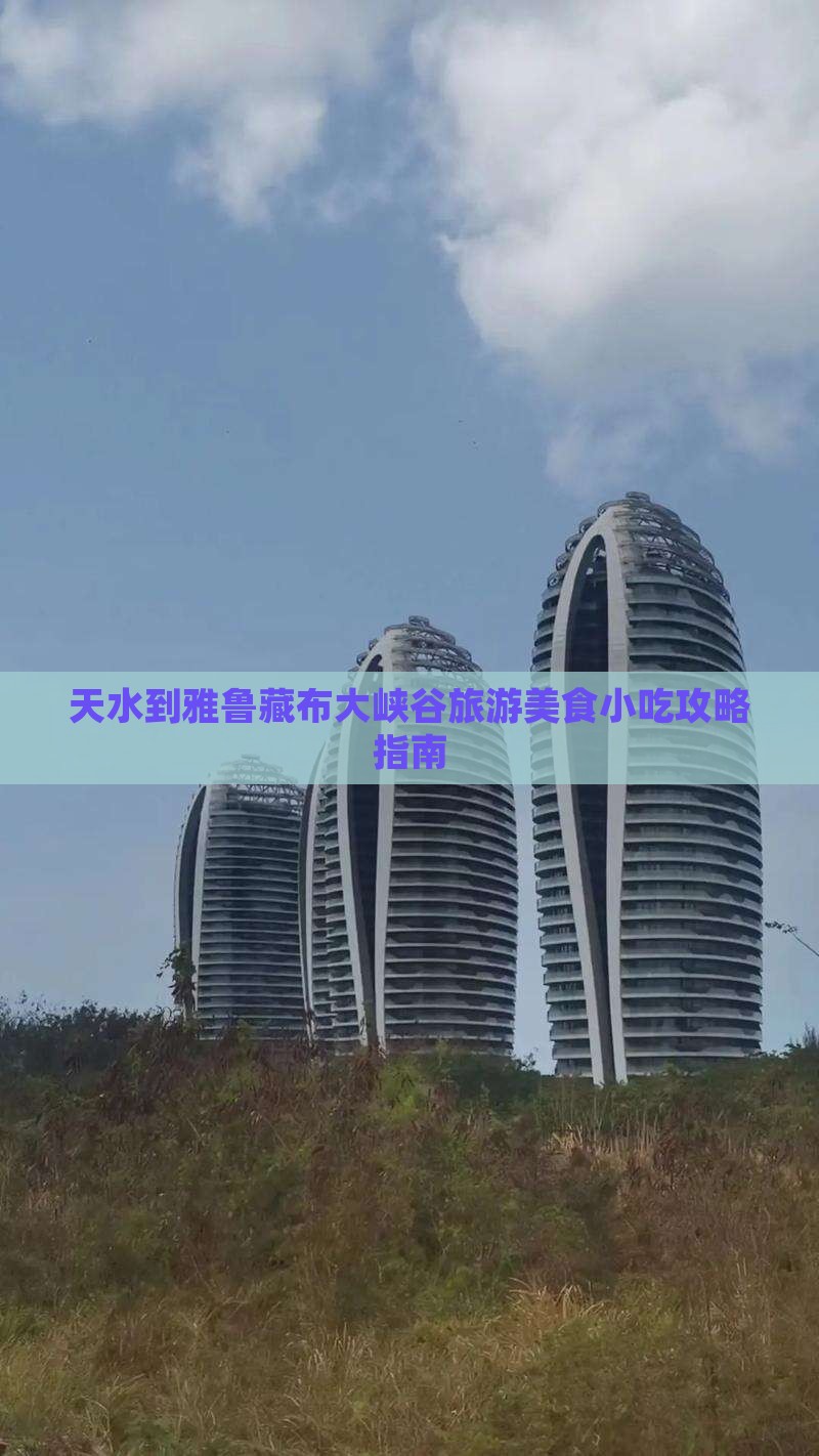天水到雅鲁藏布大峡谷旅游美食小吃攻略指南