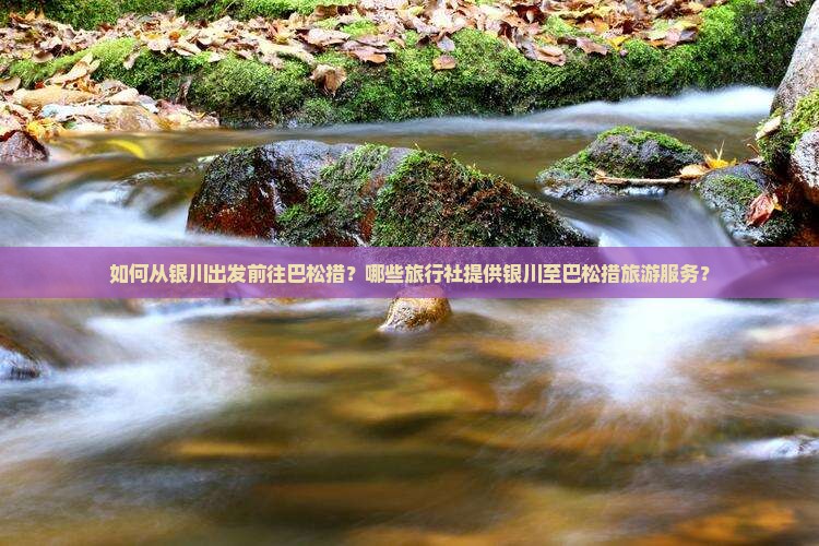 如何从银川出发前往巴松措？哪些旅行社提供银川至巴松措旅游服务？