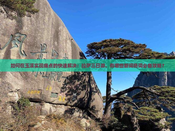 如何在玉溪实现痛点的快速解决：拉萨三日游，有哪些新词热词必备攻略？