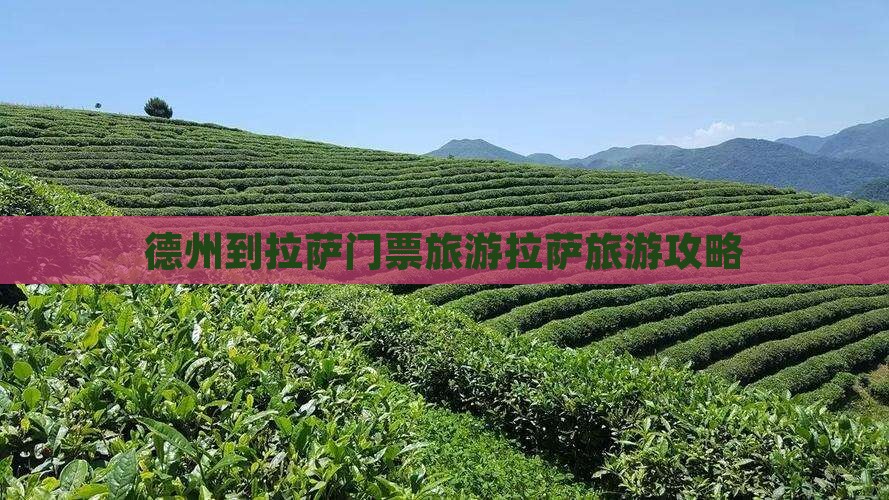 德州到拉萨门票旅游拉萨旅游攻略