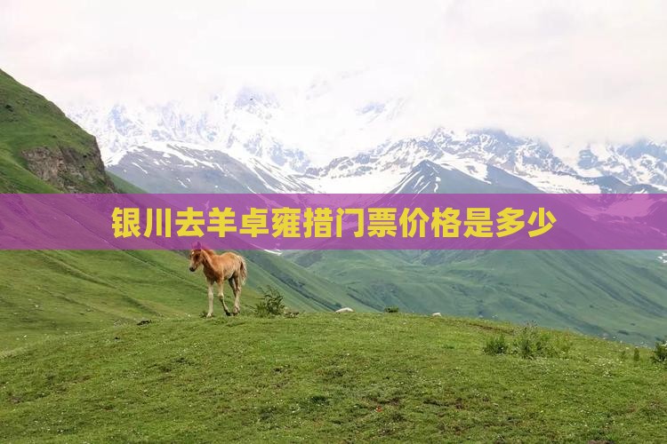 银川去羊卓雍措门票价格是多少