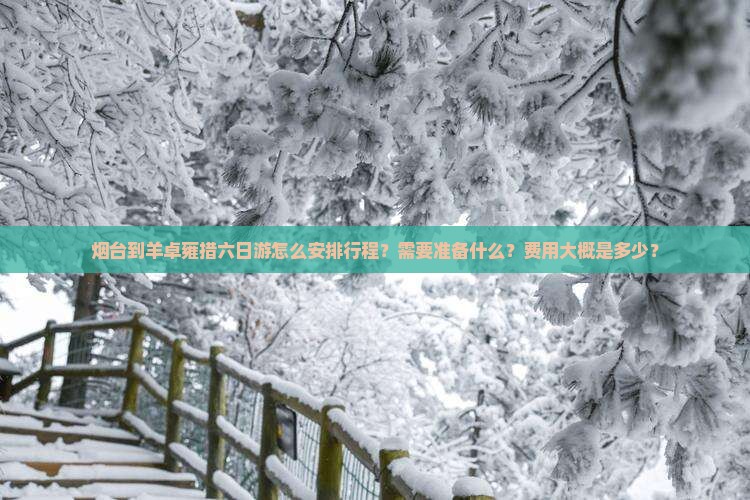 烟台到羊卓雍措六日游怎么安排行程？需要准备什么？费用大概是多少？