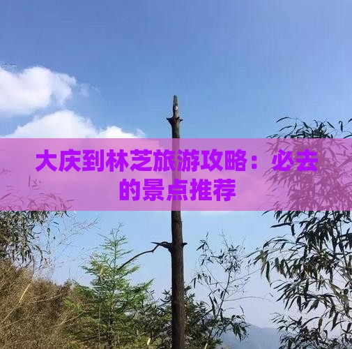 大庆到林芝旅游攻略：必去的景点推荐