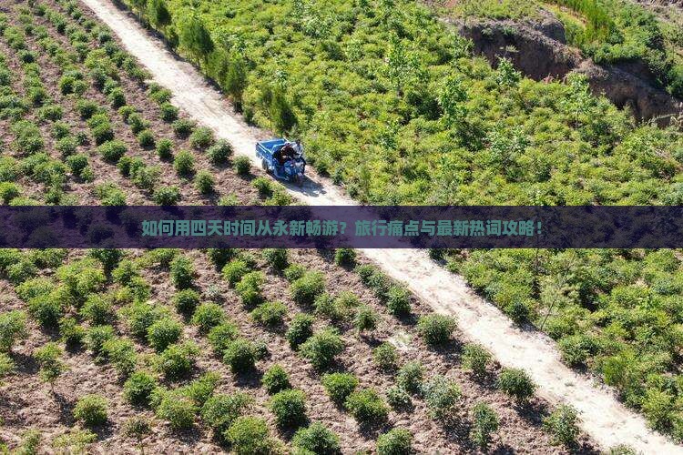 如何用四天时间从永新畅游？旅行痛点与最新热词攻略！